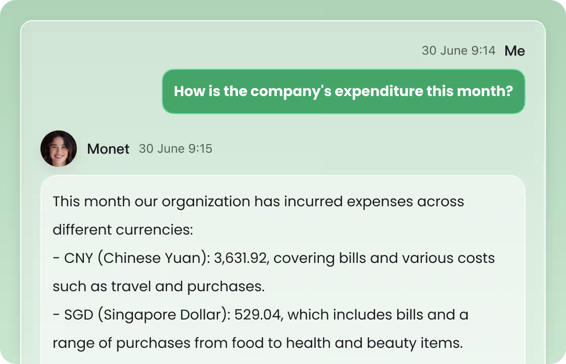 This is a chat screenshot. A user asks “How is the company's expenditure this month?” and “Monet”(representing ccMonet’s AI) replies with detailed monthly spending across currencies. It shows ccMonet’s real - time AI Q&A feature, helping SMEs track multi - currency expenses, part of our AI - powered financial management tools (including bookkeeping, dashboards) and expert - backed services.