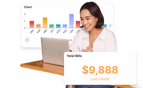 ccMonet AI financial insights interface